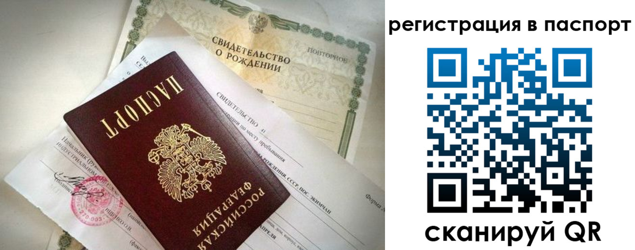 прописка гарантия в Дмитрове