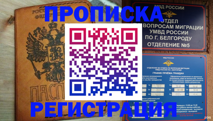 прописка для работы в Дмитрове